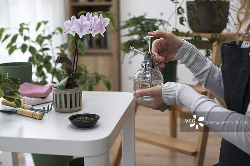 女人在家用喷雾瓶给植物喷洒水分图片素材