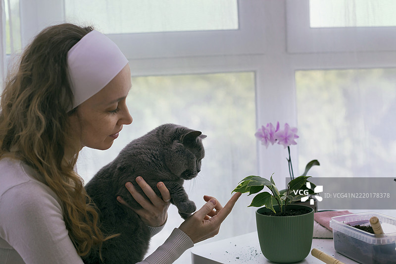 快乐的女人抱着家猫，享受着家中植物的成长。图片素材