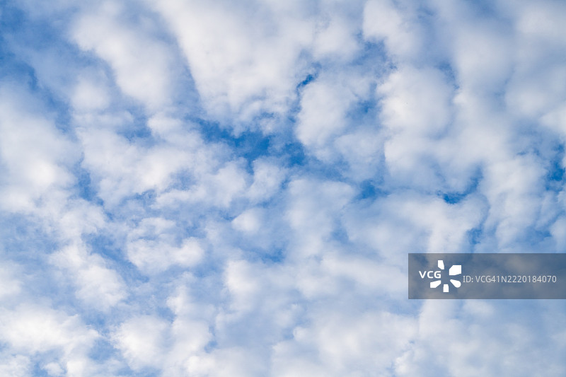 阳光明媚的日子里，积云填满了湛蓝的天空图片素材