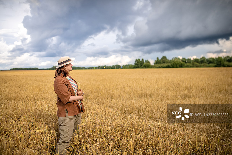农田工作：戴着帽子的女人正在检查小麦。图片素材