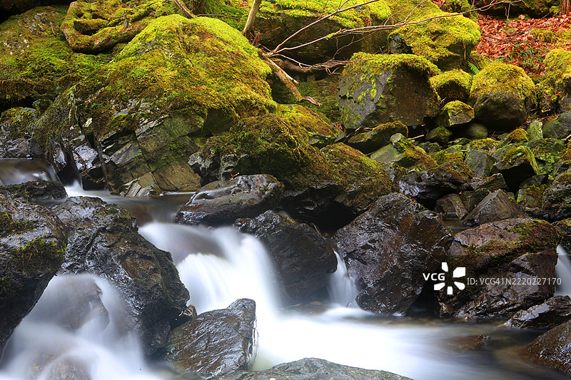 洛多尔瀑布，博罗代尔谷，湖区国家公园，联合国教科文组织，坎布里亚，英格兰，联合王国图片素材