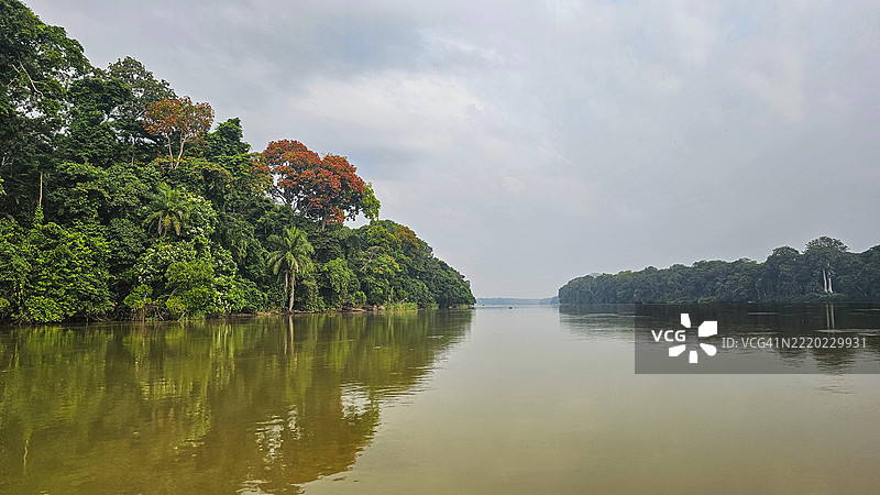 刚果共和国的三国洛贝克国家公园中的桑哈河图片素材