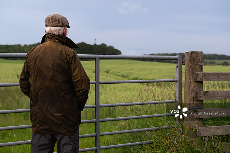 成熟男子在田野中观察作物图片素材