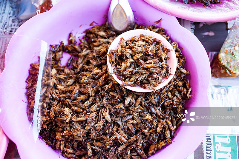 炸虫子和蟋蟀，泰国北部市场上的美味佳肴图片素材