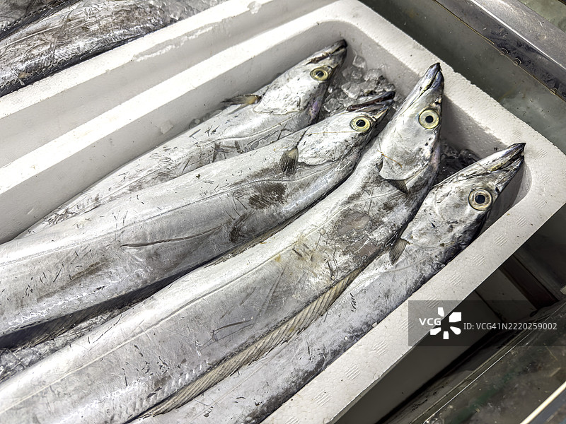 横滨桥市场的带鱼图片素材