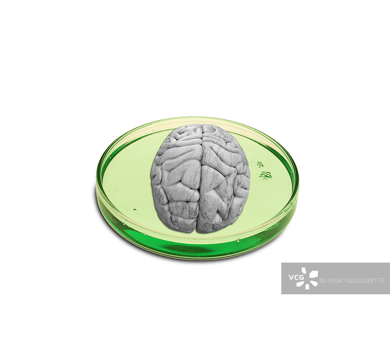 心理健康研究，概念插图图片素材