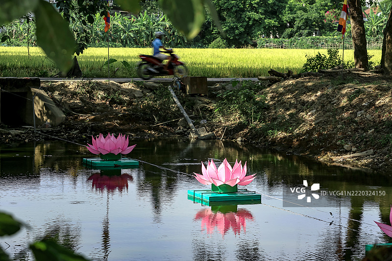 越南中部湖泊上的丝绸莲花灯笼图片素材