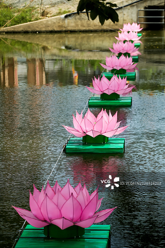 越南中部湖泊上的丝绸莲花灯笼图片素材