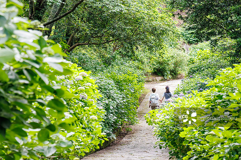 绣球花簇拥着填满了山谷。游客们在花丛中漫步。下田公园的入口处有一块大型石碑。图片素材