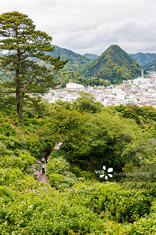 从悬崖俯瞰山谷,可以看到下田市的城市景观和三角形的下田富士山。山谷中盛开着一簇簇的绣球花。游客们在花丛中漫步。下田公园的入口处有一块大型石碑。图片素材