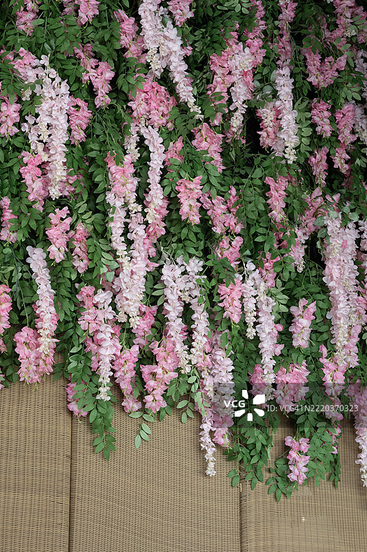 一面覆盖着粉色和绿色藤蔓的墙壁图片素材