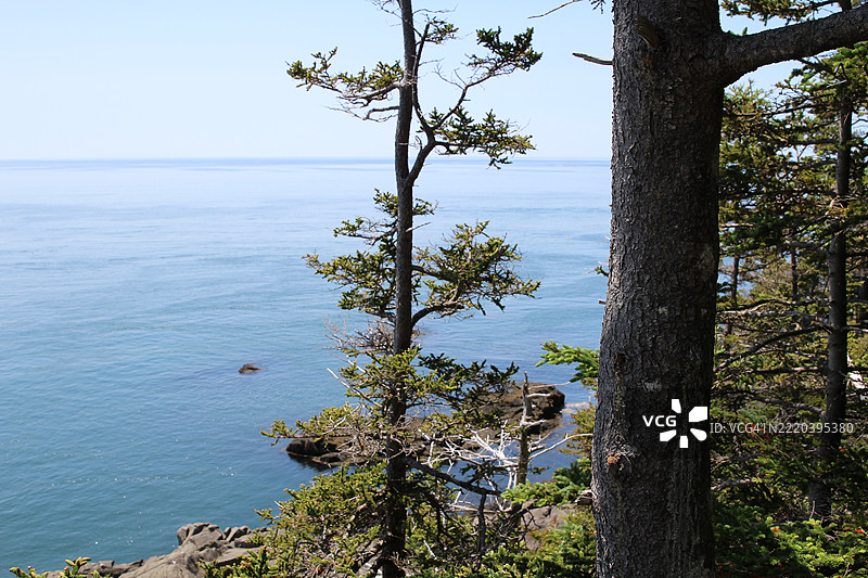 森林环绕下的璀璨蓝水。夸迪海峡的美景。夸迪头州立公园。图片素材