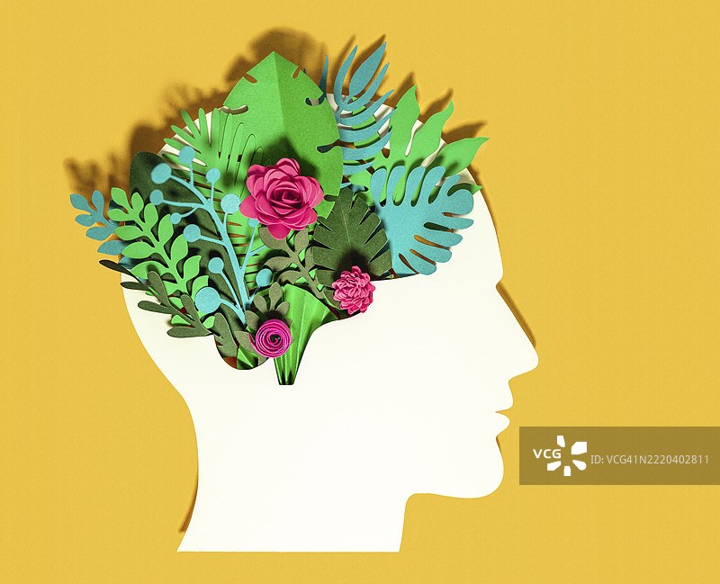 纸制花朵和植物在黄色背景上图片素材