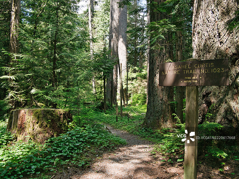 林间自然小径图片素材
