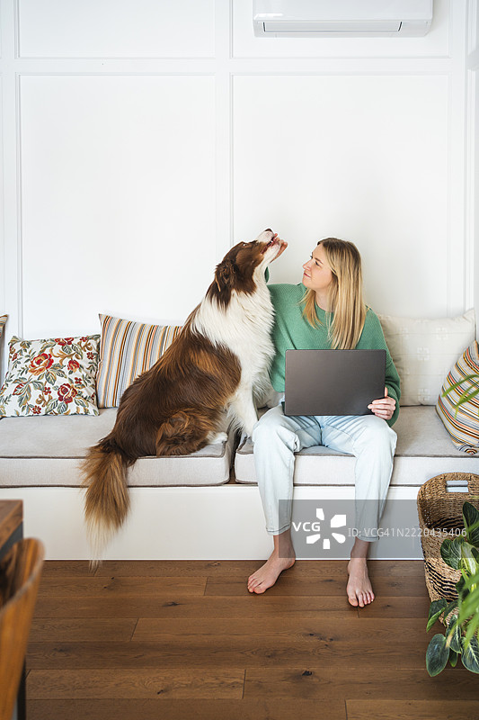 女人坐在沙发上，身边有一只狗和一台笔记本电脑。图片素材