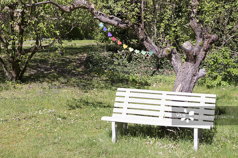 春天花园里，树下有一张白色长椅，上面挂着心形花环。图片素材