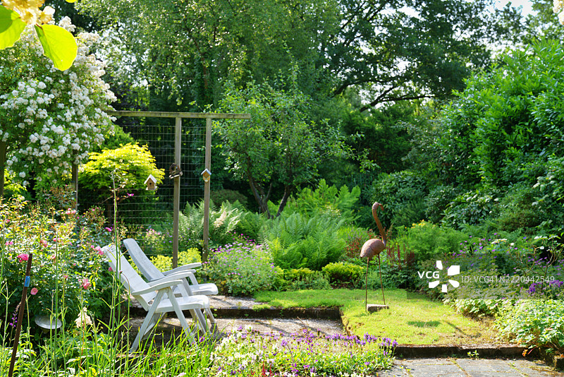 我花园的一部分图片素材