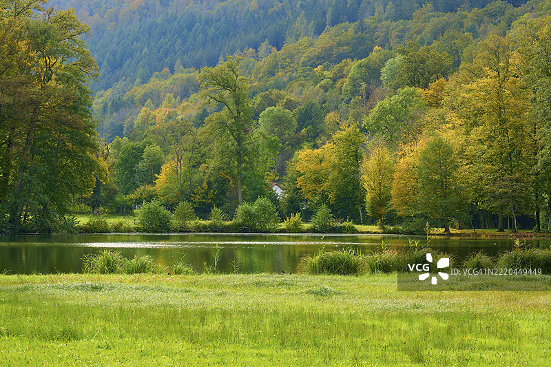 湖边的绿色岸边，背景是秋色森林，阿莫尔巴赫，奥登瓦尔德，巴伐利亚，德国，欧洲图片素材