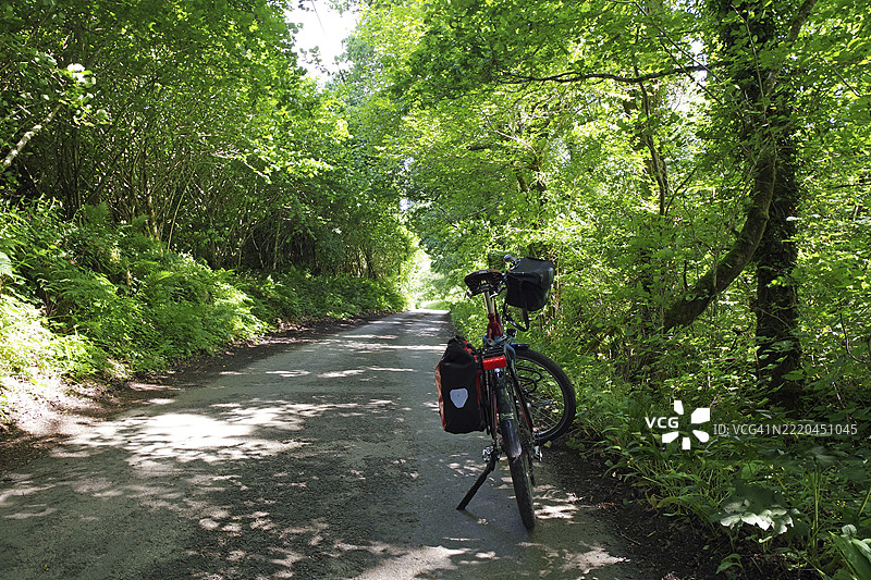 在英格兰康沃尔的韦德布里奇,骑行在被郁郁葱葱的绿树环绕的阴凉森林小径上,沿着骆驼小径。图片素材