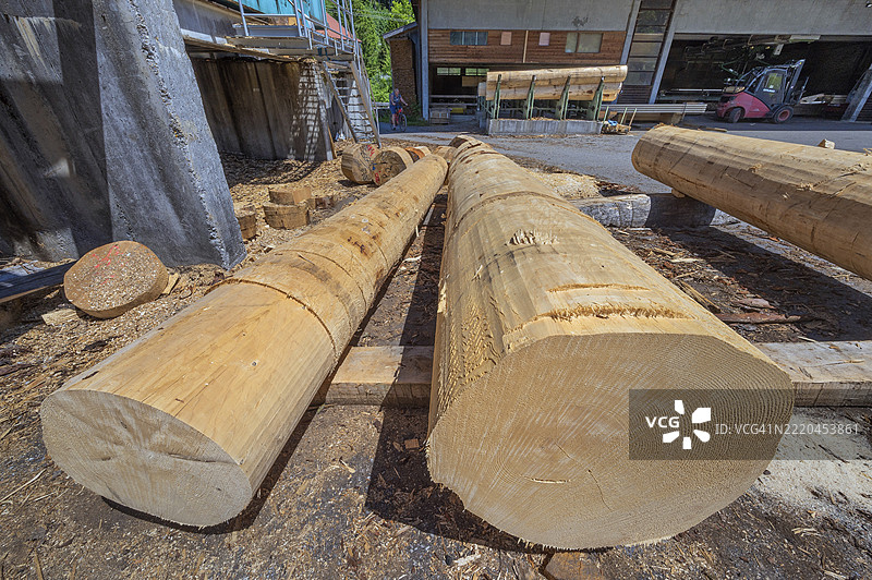 德国巴伐利亚州阿尔戈伊地区的乌特库尔纳赫木材厂，机器剥皮的树干。图片素材