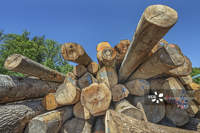 德国巴伐利亚州阿尔高地区乌特库尔纳赫的锯木厂中标记的堆叠树干图片素材