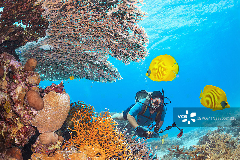 水下摄影师潜水员，潜水探索水下野生动物、珊瑚和黄色热带鱼。图片素材