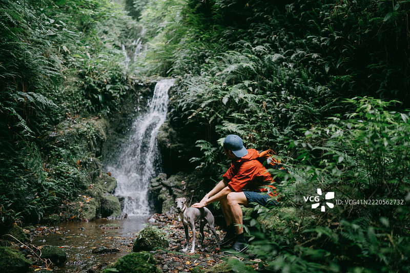 东京八丈岛雨林中的男人与狗图片素材