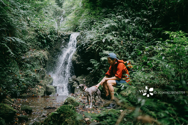 东京八丈岛的雨林中与狗一起的男人图片素材