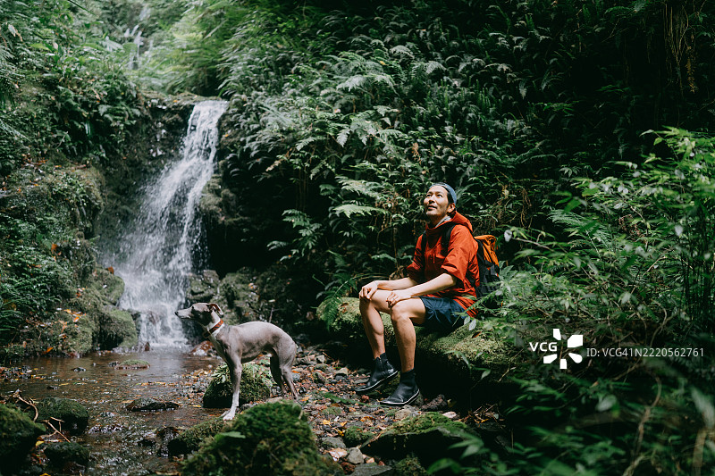 东京八丈岛的雨林中与狗一起的男人图片素材