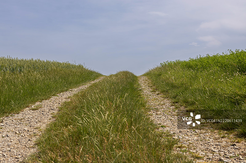 农业田野间的泥土路和小径图片素材