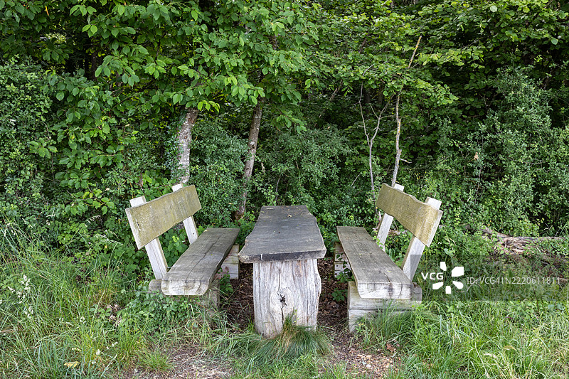 两张长椅和一张木桌，适合在森林徒步旅行时休息图片素材