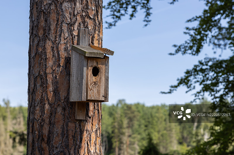 树上的木鸟屋图片素材
