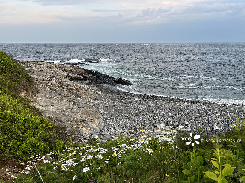 比德福德池的悬崖小径。东点奥杜邦保护区。图片素材