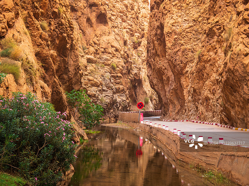 达德斯河峡谷的特写视图，河岸边开满鲜花和植物，还有一条通往深而狭窄峡谷的道路，路上有标志和标线，布马尔内·达德斯（Boumalne-Dadès） - 提内里夫省 - 德拉-塔菲拉勒 - 阿特拉斯山脉 - 摩洛哥。图片素材