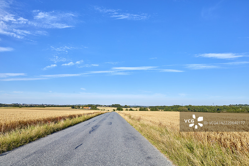 丹麦乡村中一条宁静的道路穿过金色的田野，映衬着明亮的蓝天图片素材