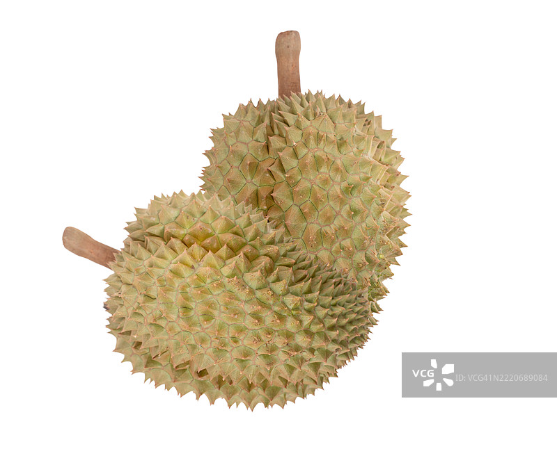 榴莲水果，异国情调的热带水果，带刺，置于白色背景的工作室中，戏剧性的灯光突显其质感和香气，展现有机成熟和健康的吸引力。图片素材