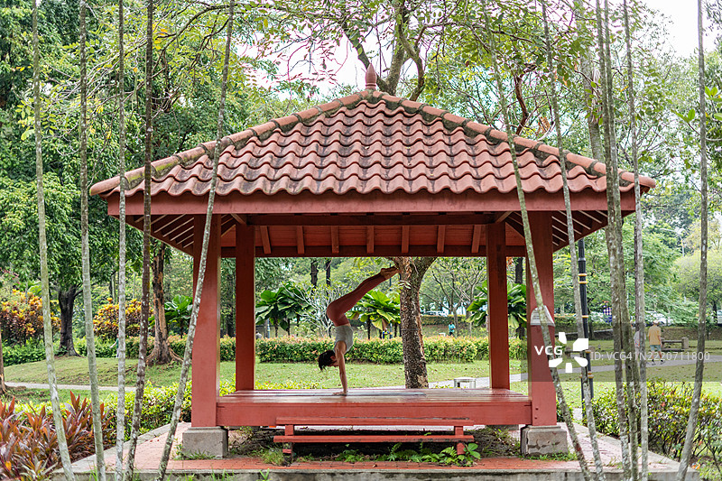 年轻女性在热带公园的凉亭中练习瑜伽倒立图片素材