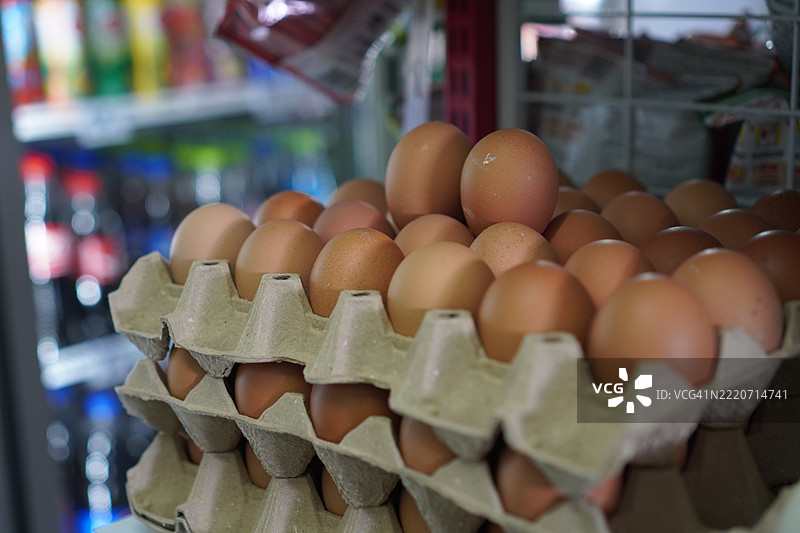 纸面上的鸡蛋图片素材