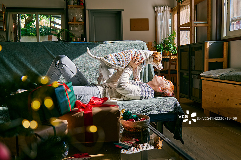 女人在沙发上抱着杰克拉塞尔梗狗，心情愉快，准备庆祝圣诞节或新年。冬季节日概念。图片素材