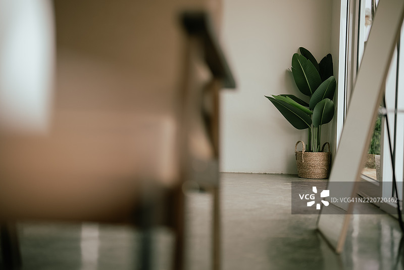 绿色植物装饰与舒适沙发背景和留白图片素材