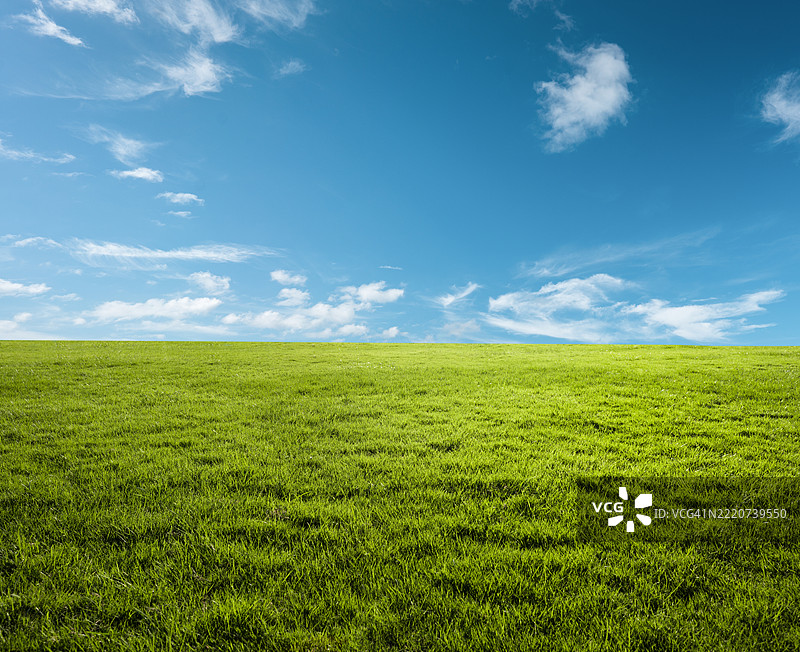 草地背景图片素材