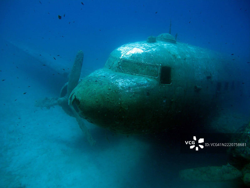 海龟在海底游泳的特写镜头图片素材