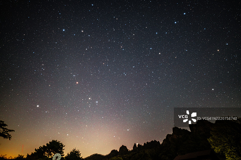 日本星空下树木剪影的低角度视图图片素材