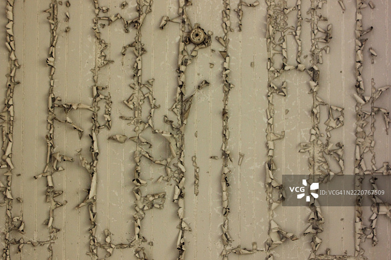 沙子的特写，卡塔戈，哥斯达黎加图片素材