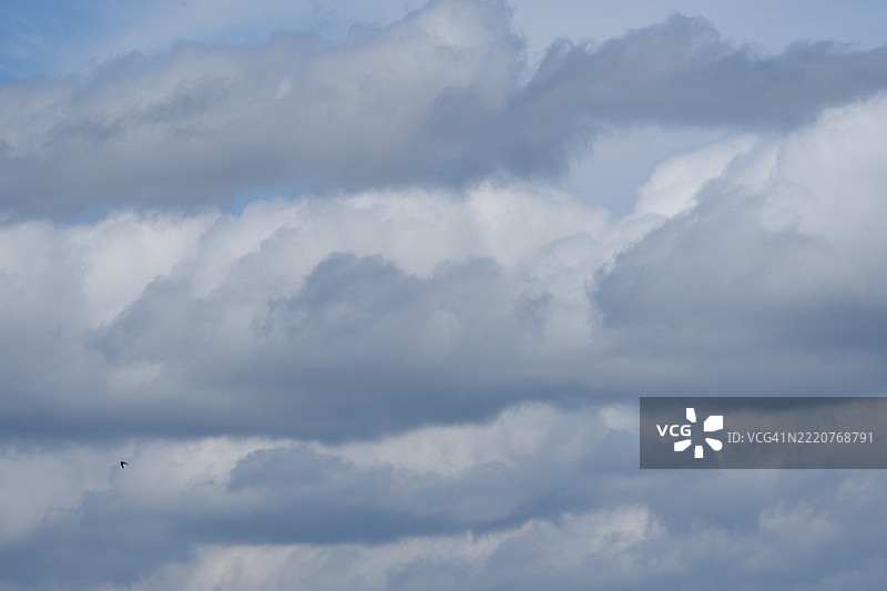 低角度视角下的天空云彩，日本图片素材