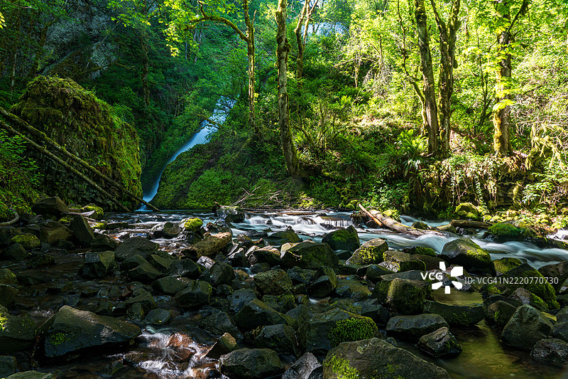 森林中河流与树木的美丽景色，布赖德尔瀑布，俄勒冈州，美国图片素材