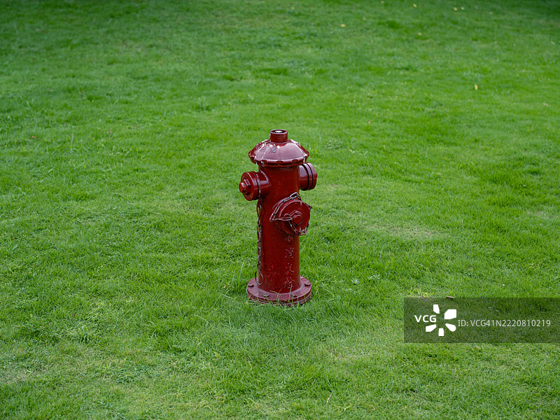 红色消防栓与绿色草坪图片素材