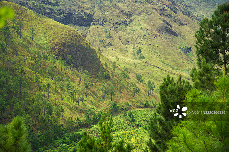 印尼北苏门答腊托巴湖的绿丘。图片素材