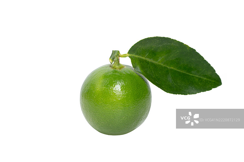 一颗绿色的青柠檬放在白色背景上图片素材