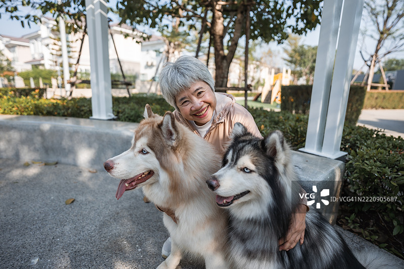 一位年长女性在晨间散步时抚摸她的两只狗。图片素材